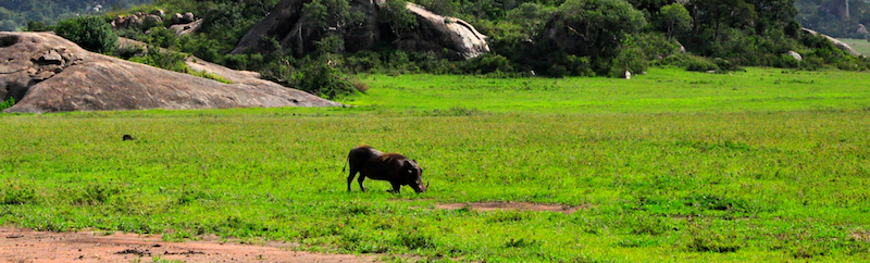 Melanie Heinrich Travel Images Africa